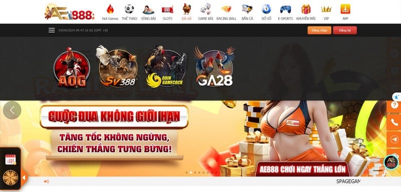 Đá Gà Ae888 - Đặt Cược Dễ Dàng, Nhận Thưởng Liền Tay
